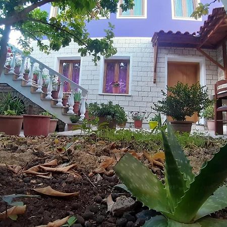 Guesthouse Hlias Gloria Berat Dış mekan fotoğraf