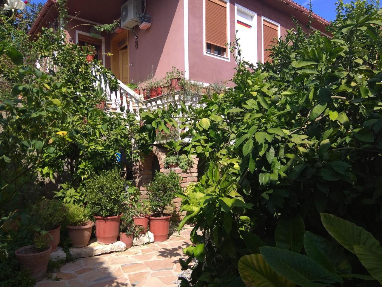 Guesthouse Hlias Gloria Berat Dış mekan fotoğraf